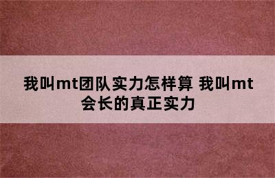 我叫mt团队实力怎样算 我叫mt会长的真正实力